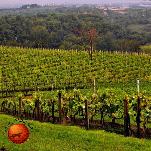 Is the Train From Barcelona to Nice Scenic?