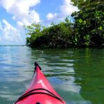 Hooked on Thrills: Conquer the Florida Keys with Kayak Fishing