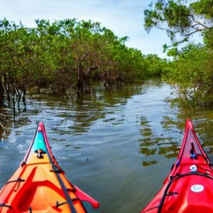 mangrove-kayaking-florida