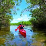 Escape to Nature: 7 Must-Visit Mangrove Kayaking Locations in Florida