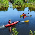 Kayaking in the Homosassa Springs: A Wildlife Adventure