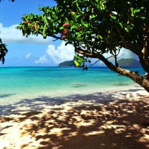 morne-rouge-beach-grenada