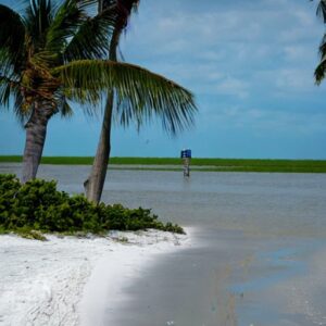 Is It Safe to Swim in Sanibel Island?