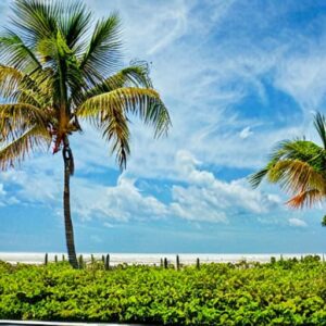 Is It Safe to Swim in Sanibel Island?