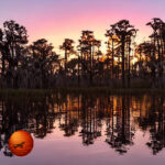 Econ River Wilderness Area: A Nature Lover's Paradise