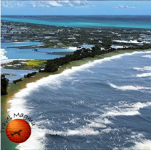 Florida's Population