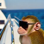 Exploring South Florida's Best Boat Ramps