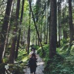 Hiking at Alfred A. Ring Park, Gainesville, FL