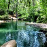 Silver Springs State Park: Nature's Hidden Oasis