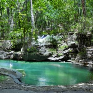 What is There to Do in Silver Springs?
