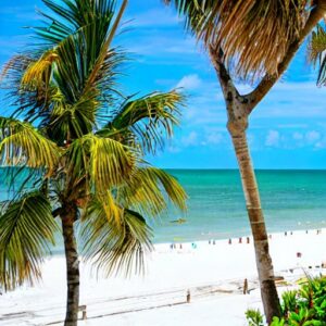 Things to do in Siesta Key Beach