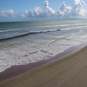 Is Turner Beach Good for My Kids? 