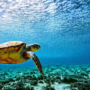 Best Beaches In Brazil