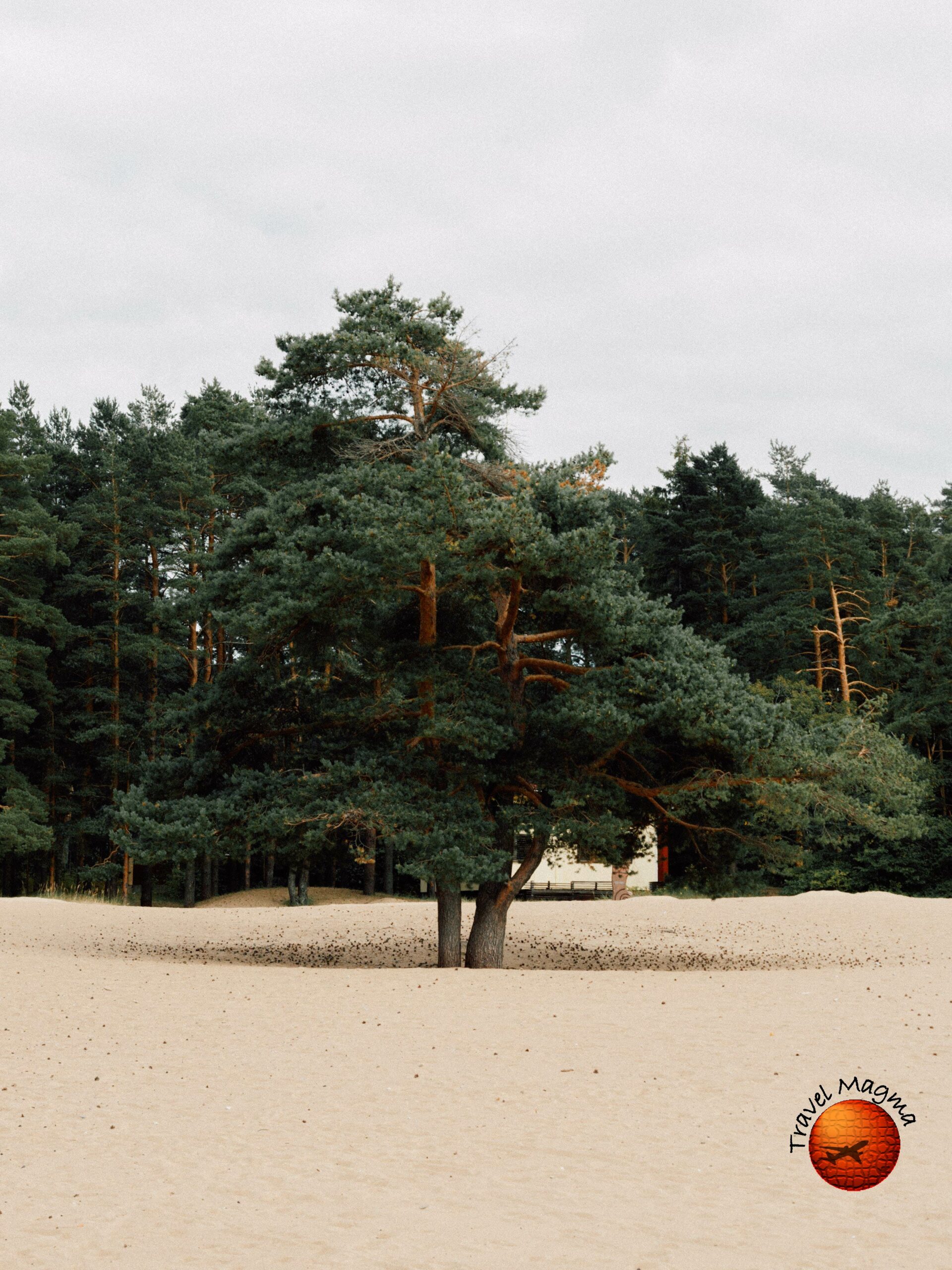 Best Quiet White Sand Beaches in Florida