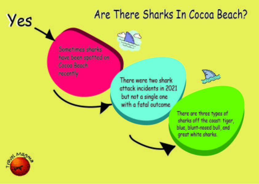 Are There Sharks In Cocoa Beach?