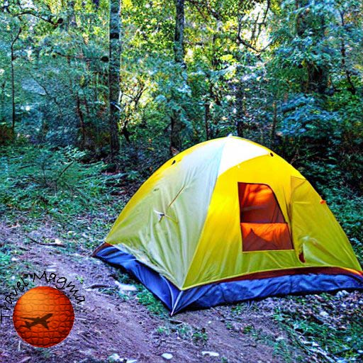 Is Florida a Good State for Camping?