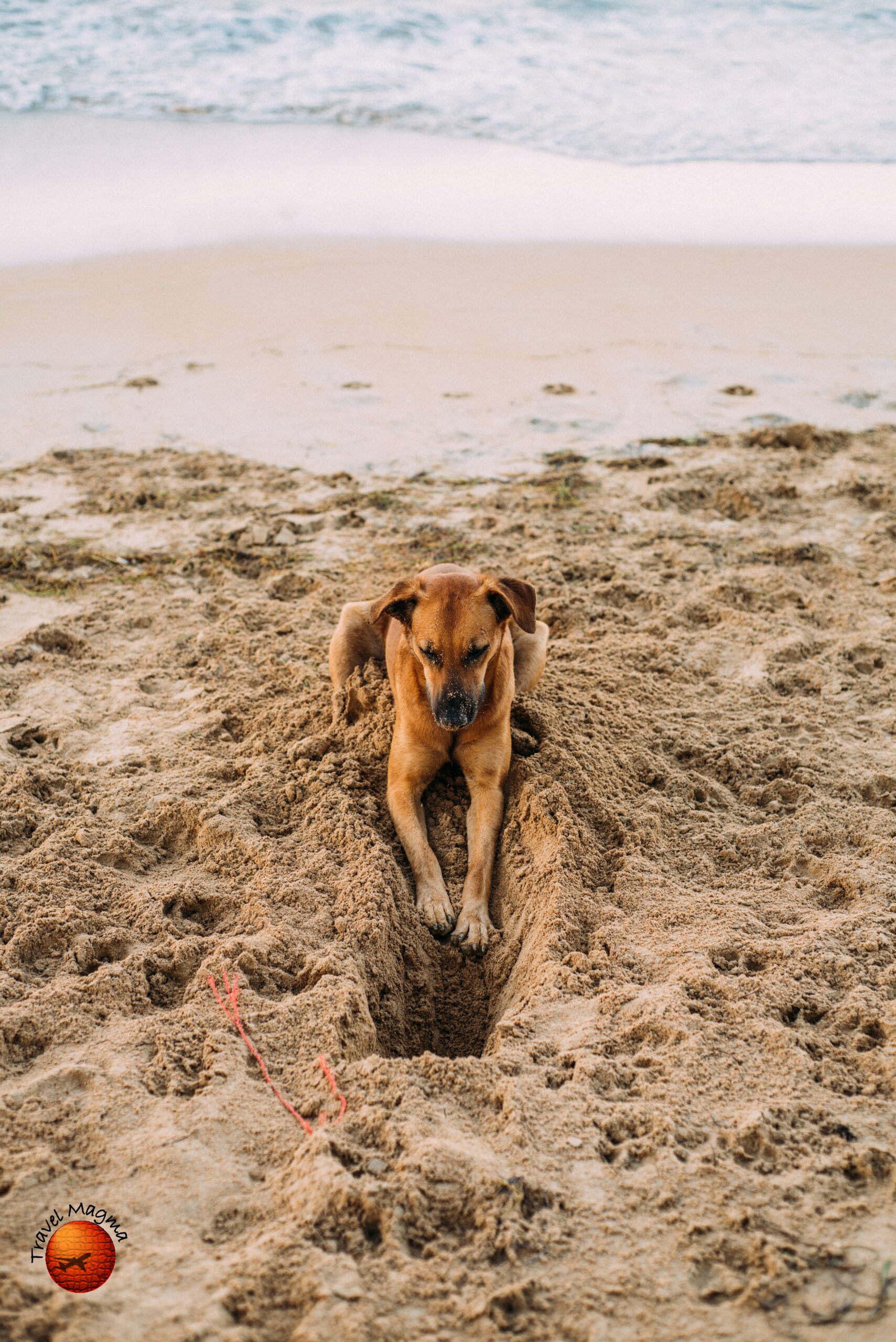 Is Gainesville Florida Worth Visiting?