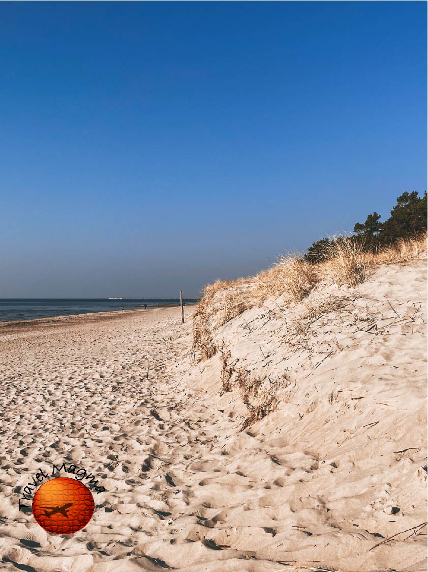 Best Things to Do in Bonita Springs at Night