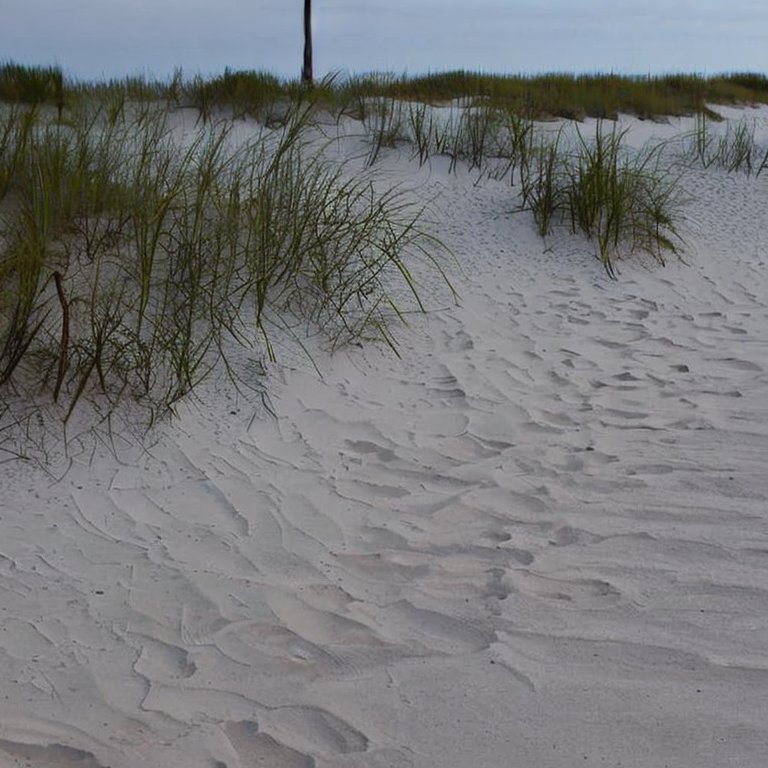 St. George Island Vs. Cape San Blas 