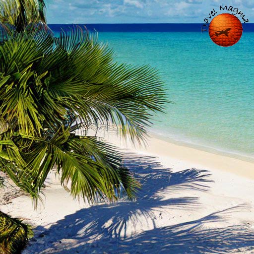 Which Beach is Better Destin or Navarre?