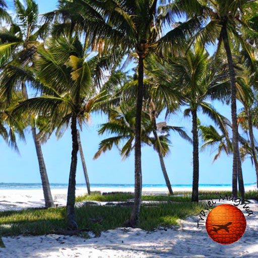 Which Beach is Better Destin or Clearwater?