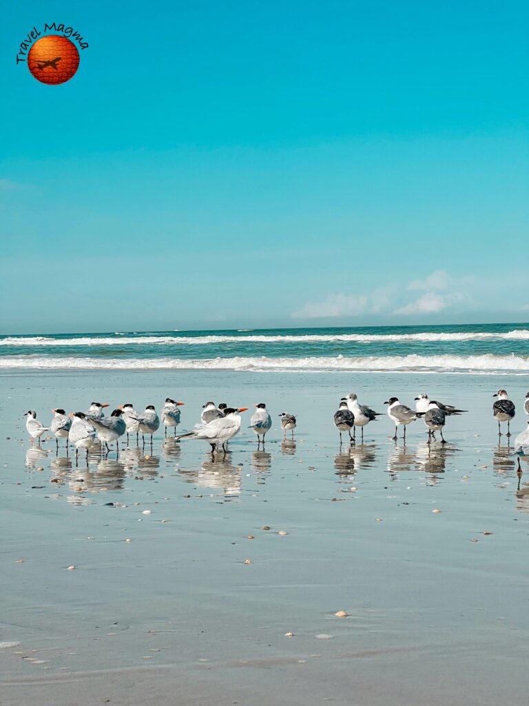 Is Marco Island Worth Visiting?