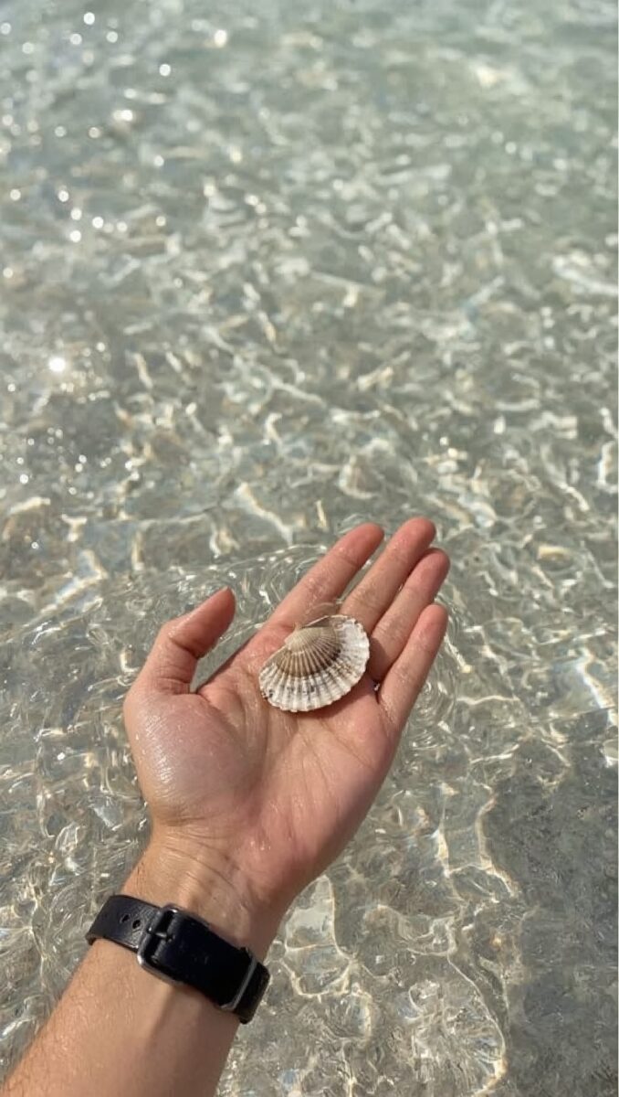 Hand holding a small scallop shell over clear shallow ocean water with sunlight sparkling on the surface