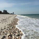 Best Shelling Beaches in Naples, Florida