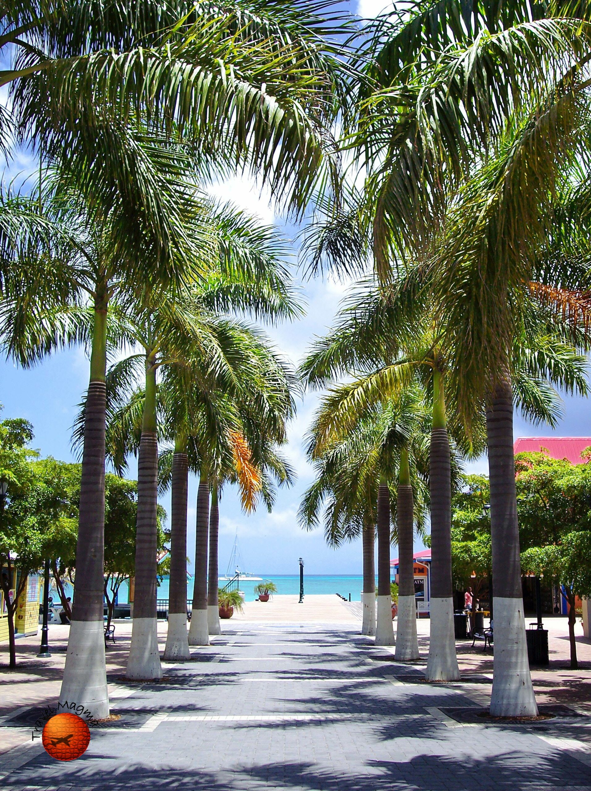 What Cities in the US Have Direct Flights to Punta Cana?
