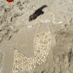 11 Best Shelling Beaches in Florida Near Orlando