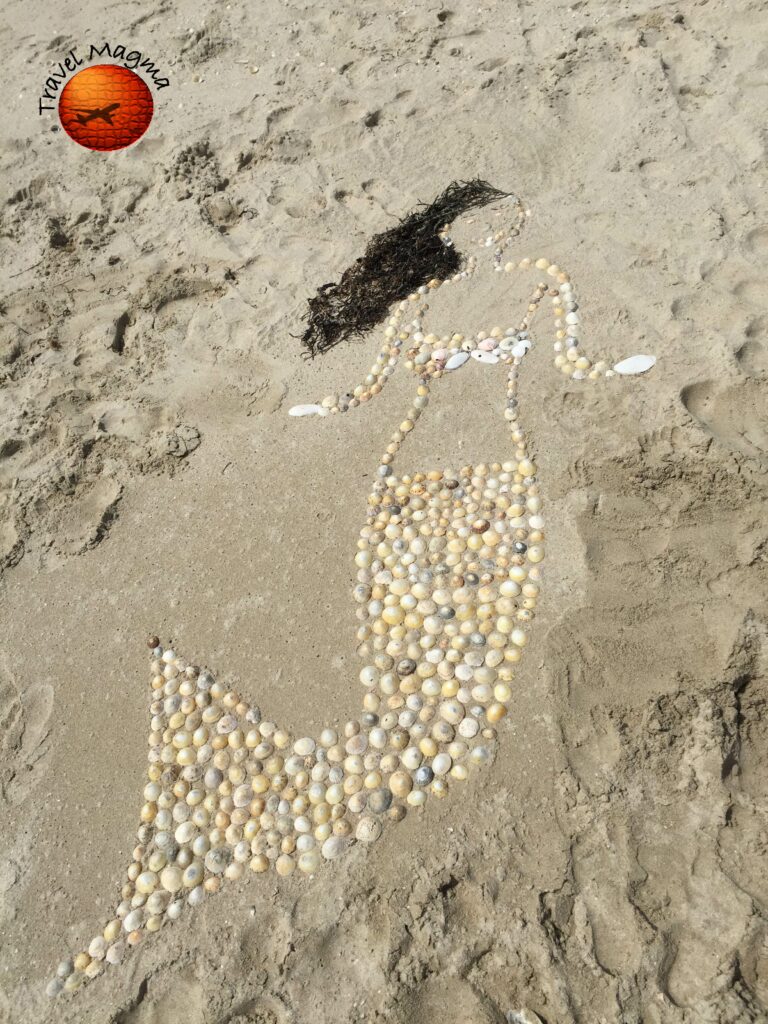 11 Best Shelling Beaches in Florida Near Orlando