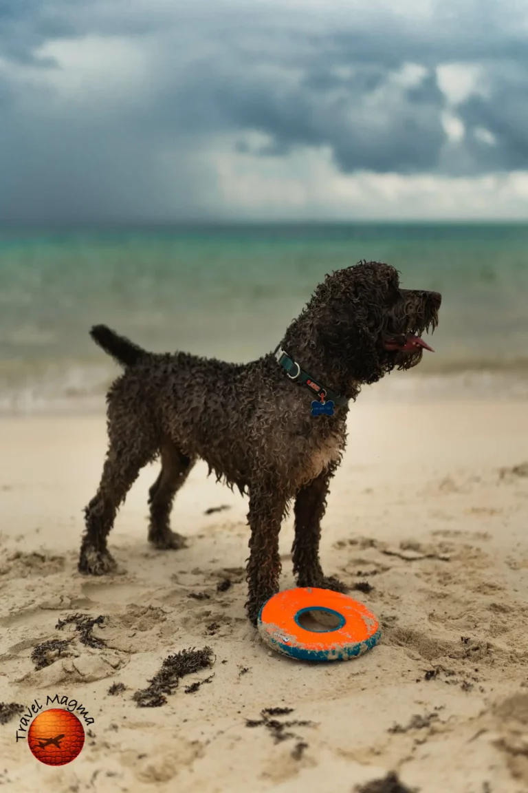 Does Gulfport FL Have Nice Beaches?