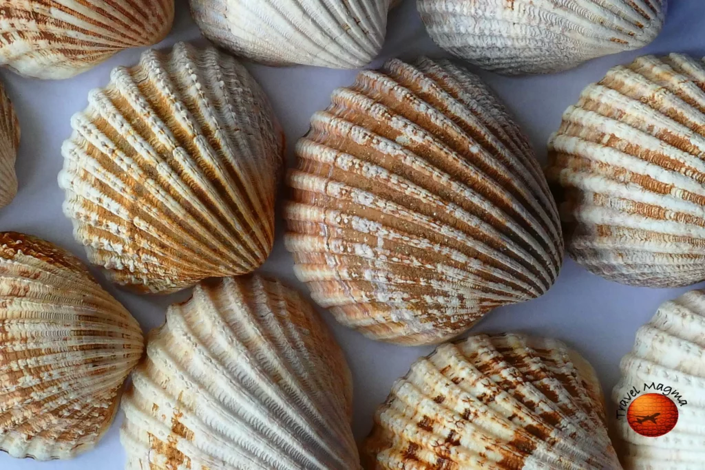 Is Pensacola Beach Worth Visiting?