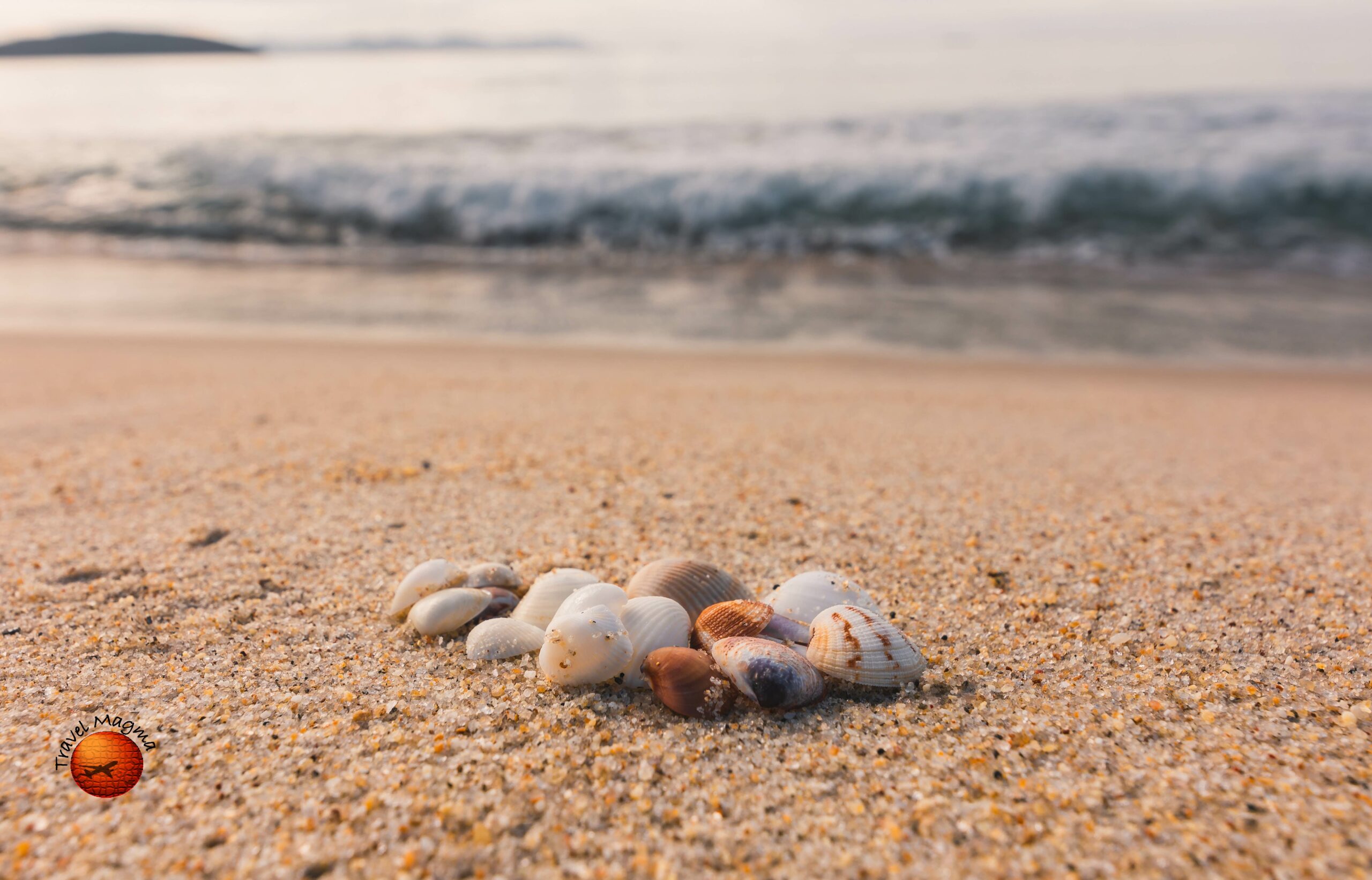 11 Best Shelling Beaches in Florida Near Orlando