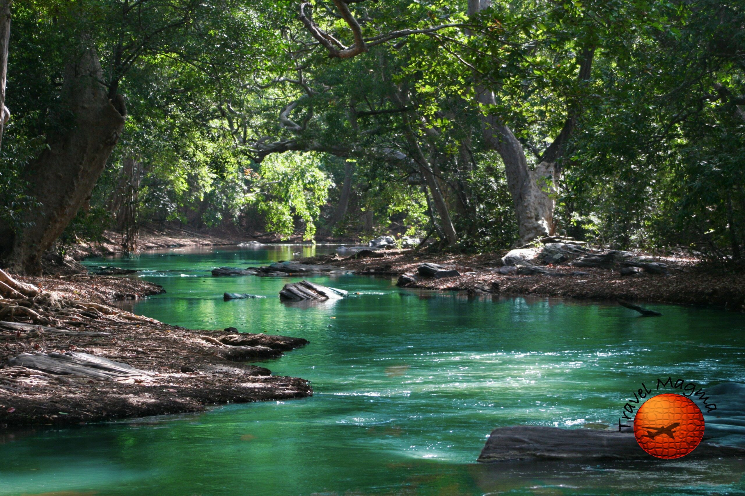 A Day in Kelly Park: From Swimming in Rock Springs to Camping Bliss