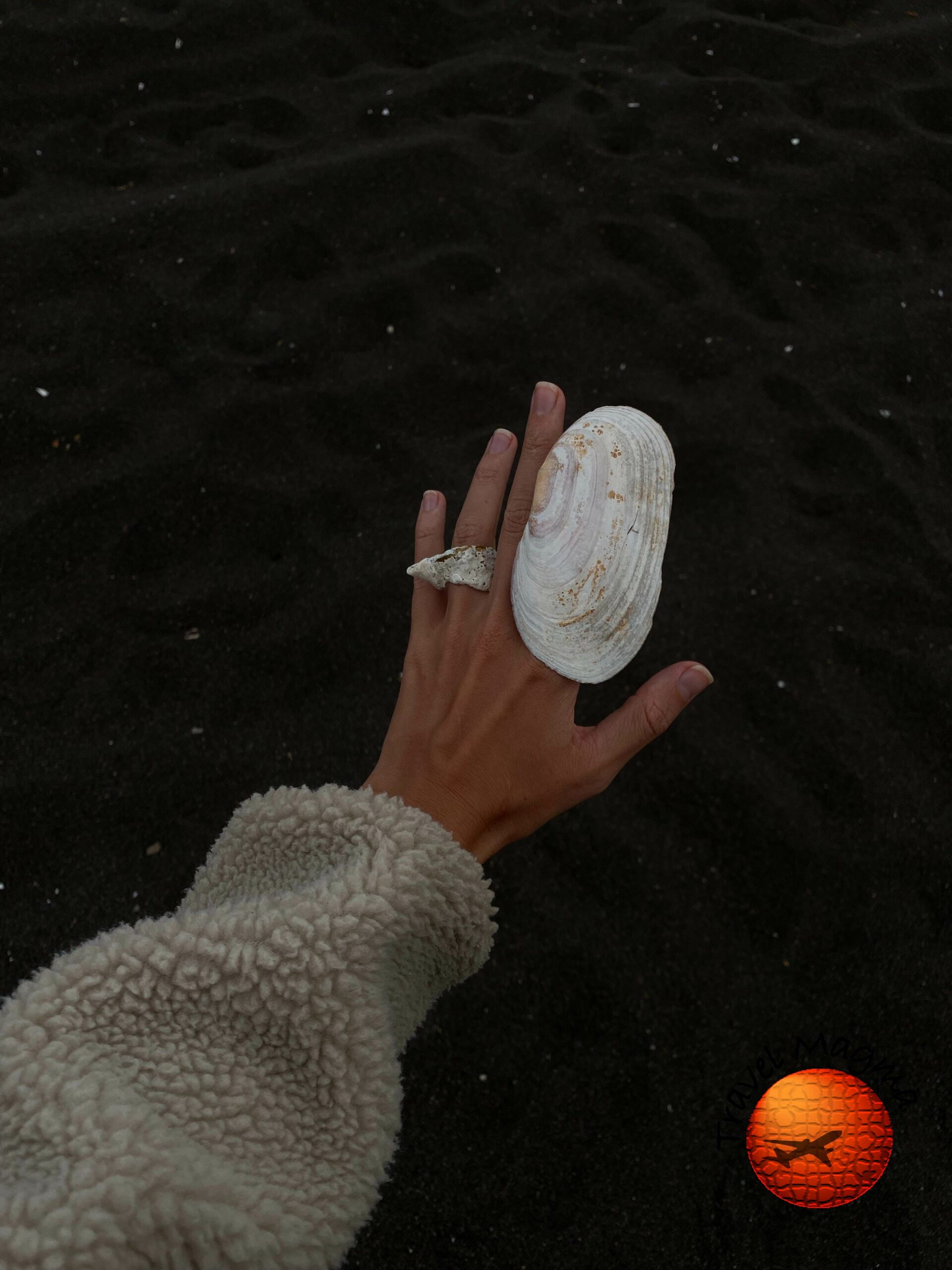 Which is Better for Shelling Sanibel or Captiva?