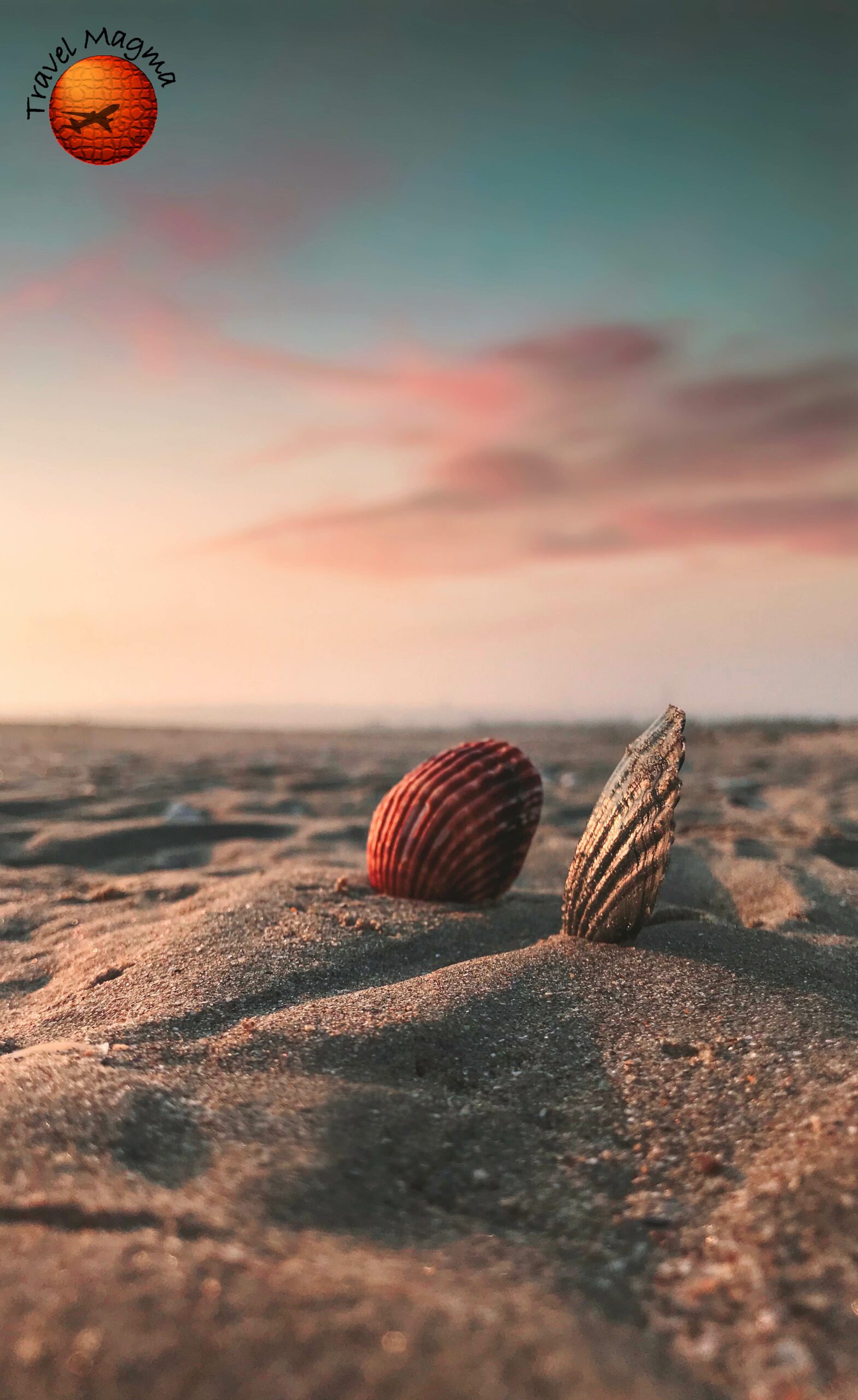 13 Best Shelling Beaches in Naples, Florida