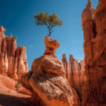 Discover Amazing Must-See Spots In Bryce Canyon National Park