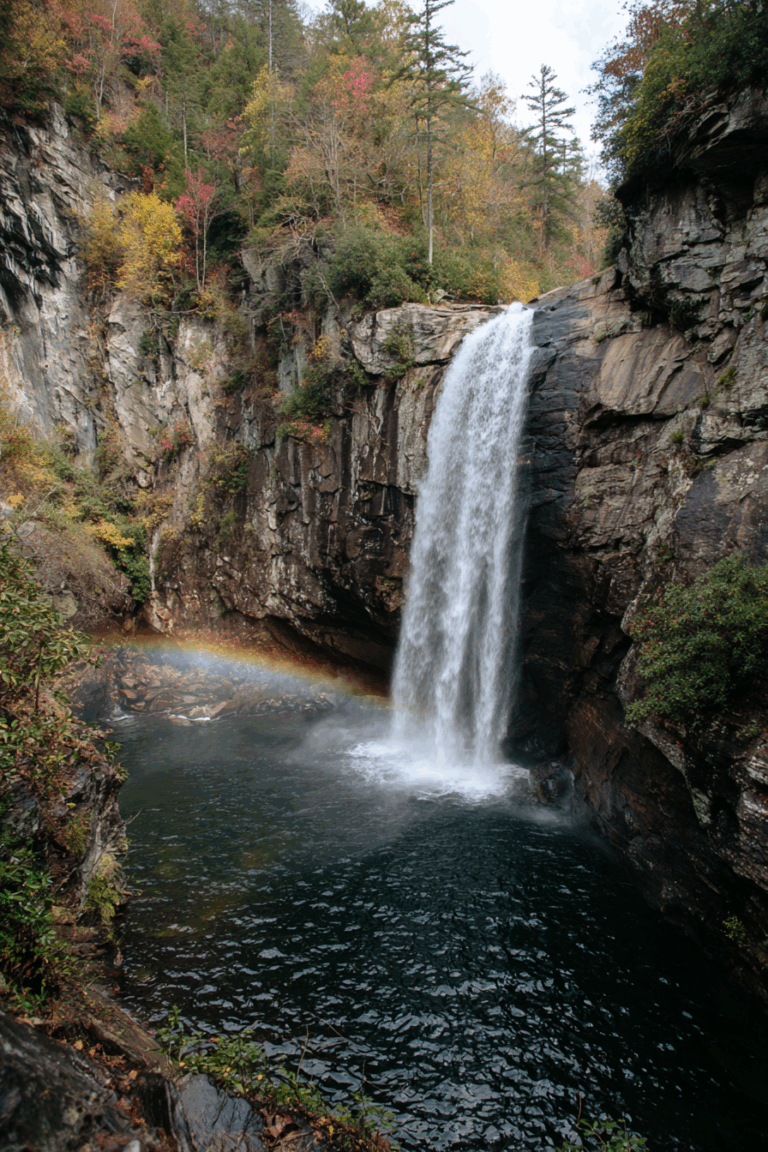 Discover Must-See Spots In Great Smoky Mountains