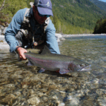 Exciting North Cascades National Park Ideas For You