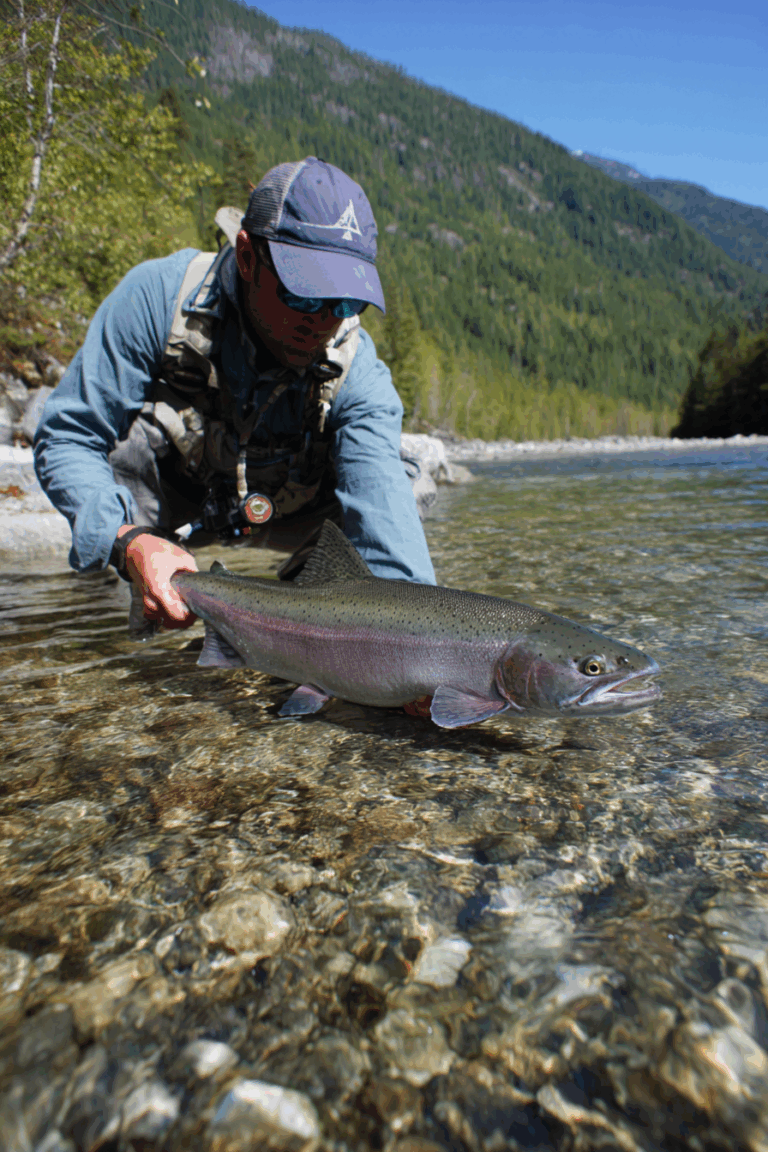 Exciting North Cascades National Park Ideas For You