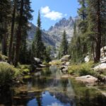 You’ll Be Inspired By These Ideas For Exploring Sequoia National Park!