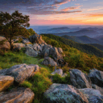 Experience The Best Of Shenandoah National Park Today!
