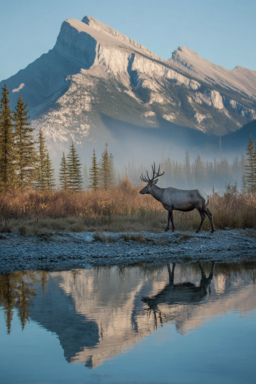 Breathtaking Banff National Park Adventures Await You