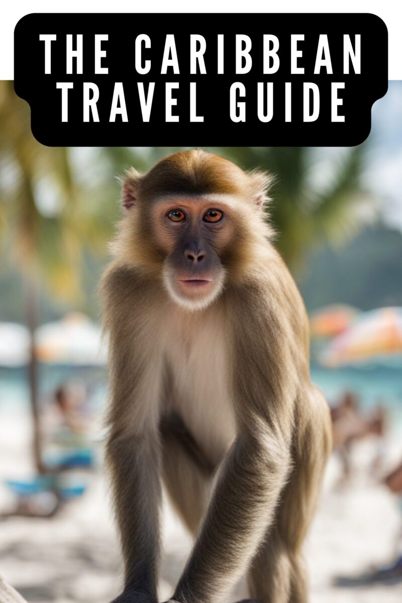The Caribbean Travel Guide by Jeff