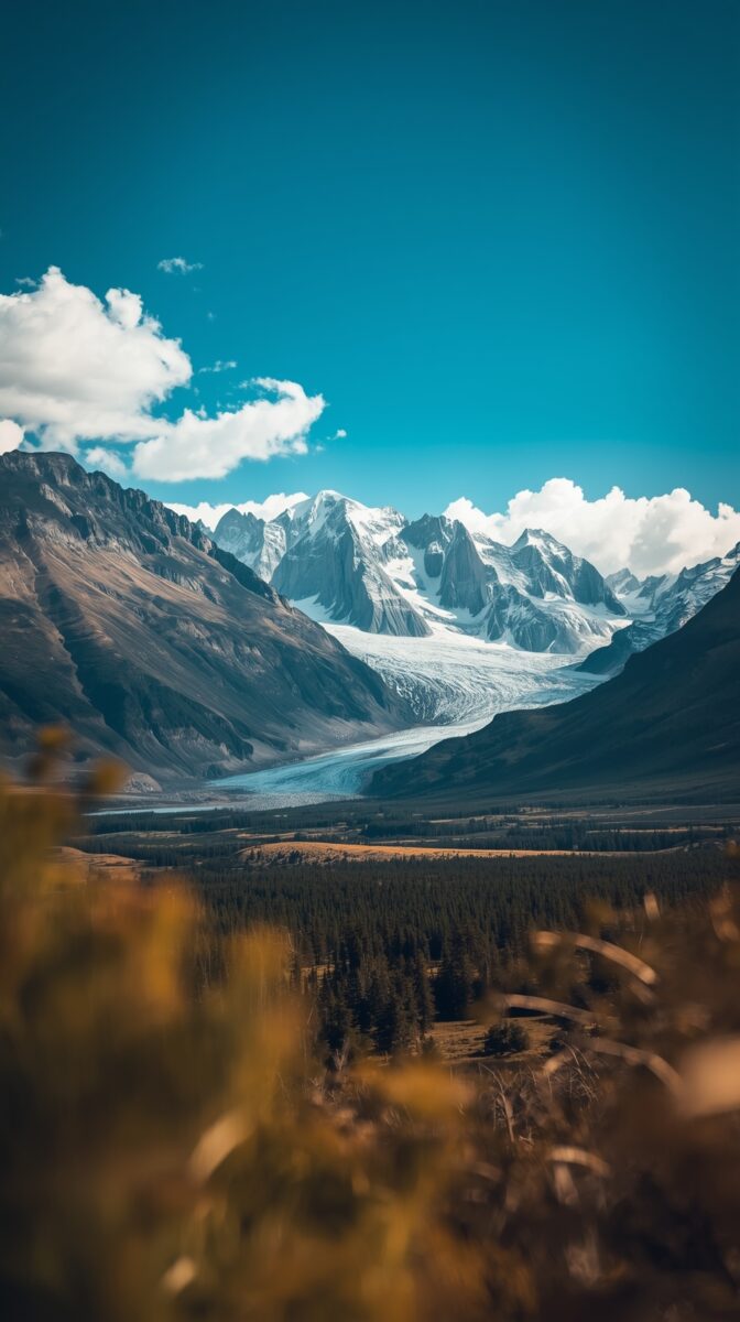 Snow-capped mountain range with a glacier flowing through a forested valley under a vivid blue sky