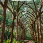 My Favorite Adult Escapes in Florida That Go Way Beyond the Theme Parks