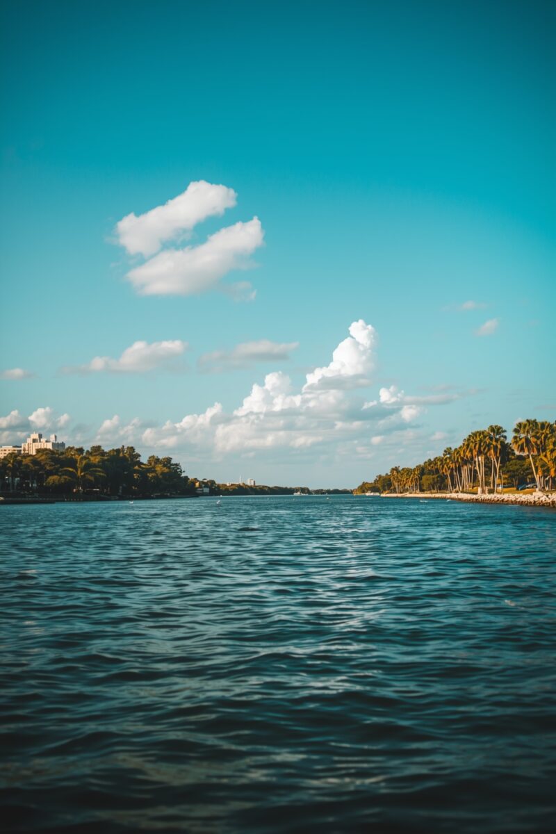 Calm blue waterway flanked by palm trees and lush greenery under a bright blue sky with white clouds