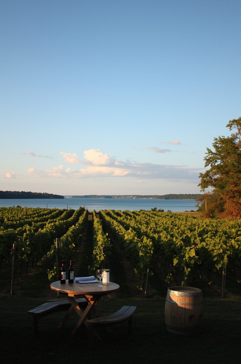 Lakeside vineyard at golden hour with wine bottles on wooden table and oak barrel beside lush grapevine rows