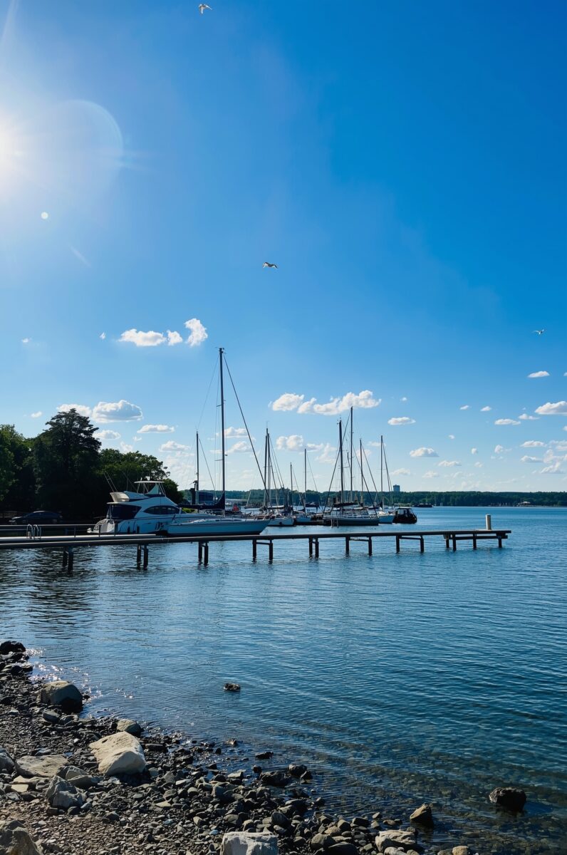 Sunny marina with sailboats docked at a wooden pier on calm blue water with rocky shoreline